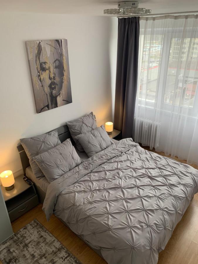 Victoriei Boulevard Private Apartment Braşov Exterior foto